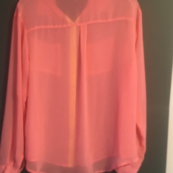 Decree Sheer Pink with Yellow Trim Button Down - Picture 6 of 6